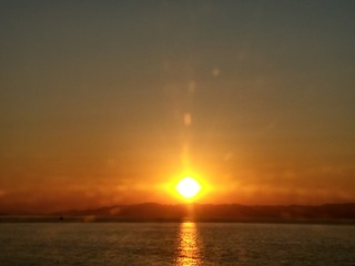 IMAG0310.jpg