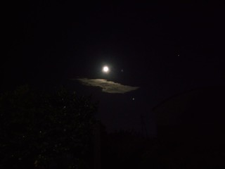 IMAG0906.jpg