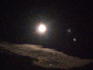 IMAG0909.jpg