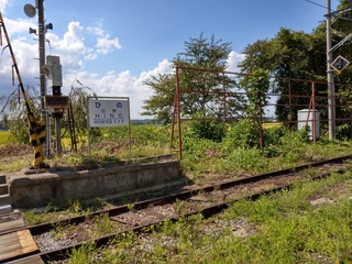 IMAG0929.jpg