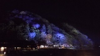 IMG_20161210_184121.jpg