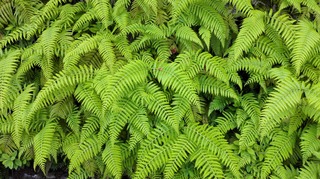 IMG_20170610_152825.jpg