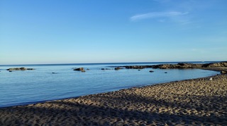 IMG_20170805_060533.jpg