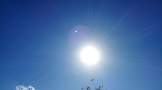 IMG_20170930_145423.jpg